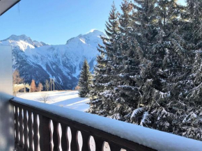 Résidence Le Midi - Super Studio exposé SUD quartier Venosc MAE-5341
